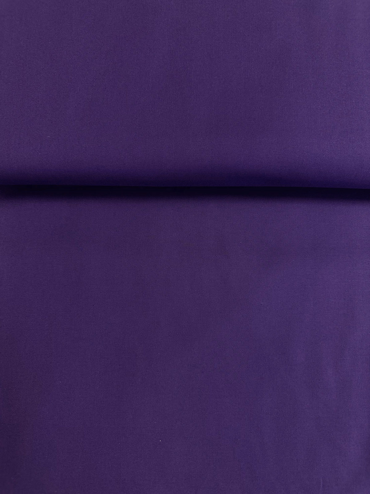 Coton Uni Purple